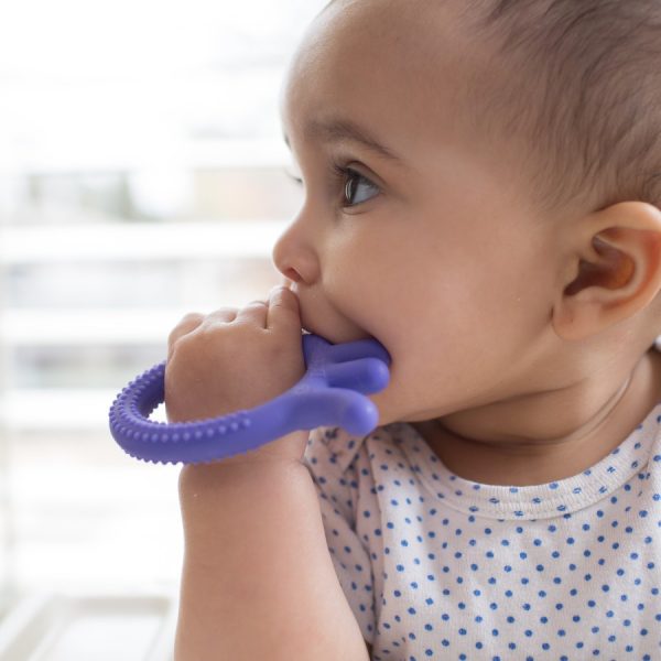 Baby in highchair with octopus teether in mouth