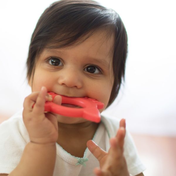 Baby chewing on fox teether